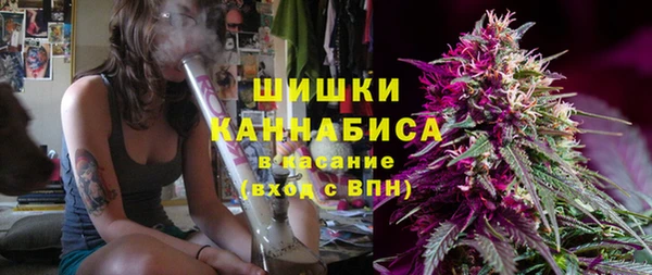 сатива Нея